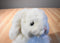 Ty Classic Cashmere White Fluffy Bunny Rabbit 2000 Beanbag Plush