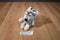 Trudi Bussi (Kiss) Gray and White Husky Plush with Blue Eyes