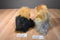 Ty Classic Yappy Yorkie 1999 and Mitsy Silky 2006 Beanbag Plush