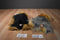 Ty Classic Yappy Yorkie 1999 and Mitsy Silky 2006 Beanbag Plush