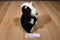 Kellytoy Black and White Holstein Cow Plush