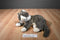 Ty Classic O'Malley Brown and Grey Tabby Cat 2002 Beanbag Plush