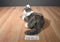 Ty Classic O'Malley Brown and Grey Tabby Cat 2002 Beanbag Plush