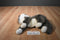 Ty Classic O'Malley Brown and Grey Tabby Cat 2002 Beanbag Plush