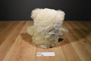 OSHKO International Beige Teddy Bear Plush