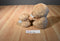 Ty Beanie Boos 2 Tangerine Tan Monkeys 2010 Beanbag Plush