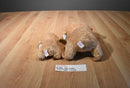 Ty Beanie Boos 2 Tangerine Tan Monkeys 2010 Beanbag Plush
