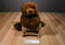 Russ Great Grizzly Brown Bear Beanbag Plush
