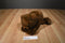 Russ Great Grizzly Brown Bear Beanbag Plush