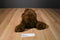 Russ Great Grizzly Brown Bear Beanbag Plush