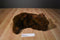 Russ Great Grizzly Brown Bear Beanbag Plush