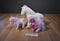 Ty Beanie Buddies Avalon and Babies Enchanting and Pinkys Minuet Horse Beanbag Plush