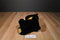 Gund Axel the Black and Tan Bear Beanbag Plush