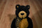 Gund Axel the Black and Tan Bear Beanbag Plush