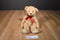 Douglas Matrix Callie Tan Bear Beanbag Plush with Red Bow
