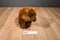 Yang Jee Reddish Brown Grizzly Bear Plush