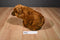 Yang Jee Reddish Brown Grizzly Bear Plush