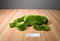 Unipak Green and Yellow Frog Beanbag Plush
