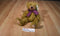 First & Main Scraggles the Brown Bear Beanbag Plush