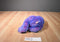 Ty Classic Purplebeary 1999 Beanbag Plush