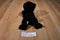 Wildlife Artists Black Bear Cub 2001 Beanbag Plush