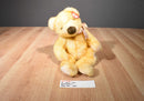 Ty Classic Butterbeary 1999 Beanbag Plush
