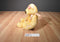 Ty Classic Butterbeary 1999 Beanbag Plush