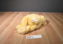 Ty Classic Butterbeary 1999 Beanbag Plush