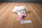 Baby Gund Lena Lamb With Pink Blanket Plush