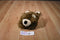 Animal Adventure Brown and Beige Bear 2000 Beanbag Plush