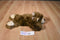 Animal Adventure Brown and Beige Bear 2000 Beanbag Plush