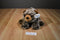Wishpets Jeremy the Brown Frosted Bear 2014 Beanbag Plush