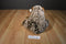 Wishpets Jeremy the Brown Frosted Bear 2014 Beanbag Plush