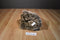 Wishpets Jeremy the Brown Frosted Bear 2014 Beanbag Plush