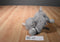 Ganz Webkinz Grey Elephant HM007 Sealed code