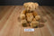 Russ Brock the Brown Teddy Bear Beanbag Plush