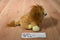 Ganz Webkinz Lil Kinz Lion Beanbag Plush HS006 Sealed Code