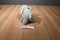 Ganz Webkinz Grey Velvety Elephant HM167 Beanbag Plush With Sealed Code
