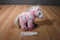 Ganz Webkinz Pink Pony HM117 Beanbag Plush with Sealed Code