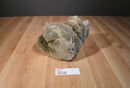 Brown Teddy Bear Beanbag Plush