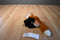 Wild Republic Sitting Red Fox Beanbag plush