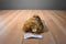 Victoria's Secret Yorkshire Terrier Max 2003 Beanbag Plush