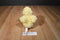 Animal Adventure Yellow and Orange Duck 2014 Plush