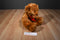 Galerie Hershey's Brown Teddy Bear 2009 Plush