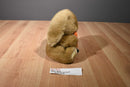 Soft Things Brown Bunny Rabbit With an Orange Carrot Plush