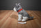 Pier 1 Imports Grey and White Husky 2013 Plush