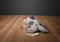 Pier 1 Imports Grey and White Husky 2013 Plush