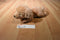 Aurora Miyoni Golden Retriever Puppy Dog Beanbag Plush