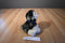 Arctic Circle Enterprise Inc. White and Black Husky Plush
