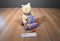 Walt Disney Company Pooh Plush Pull Toy